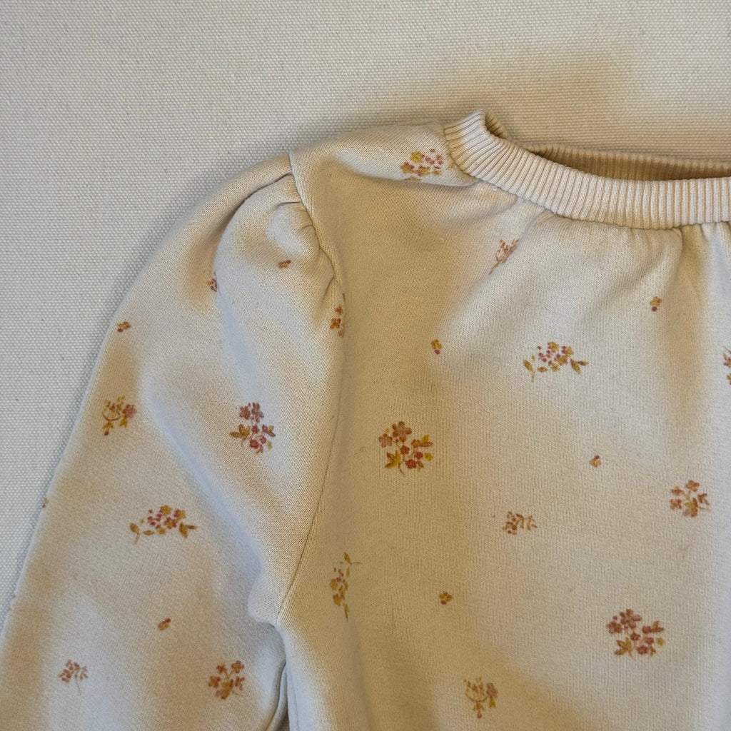 Pullover Emile & Ida 2 Jahre