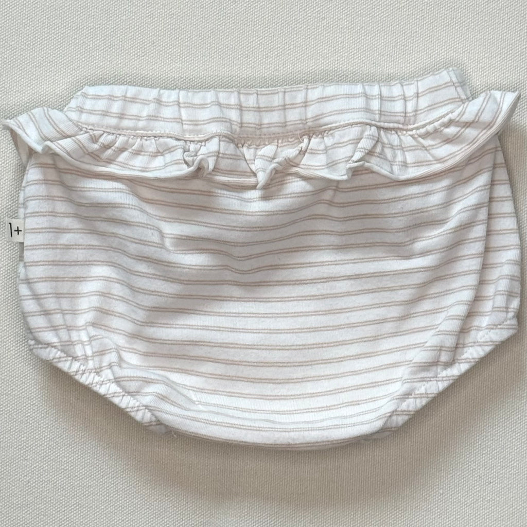 Bloomer 1+ in the family 3 mois