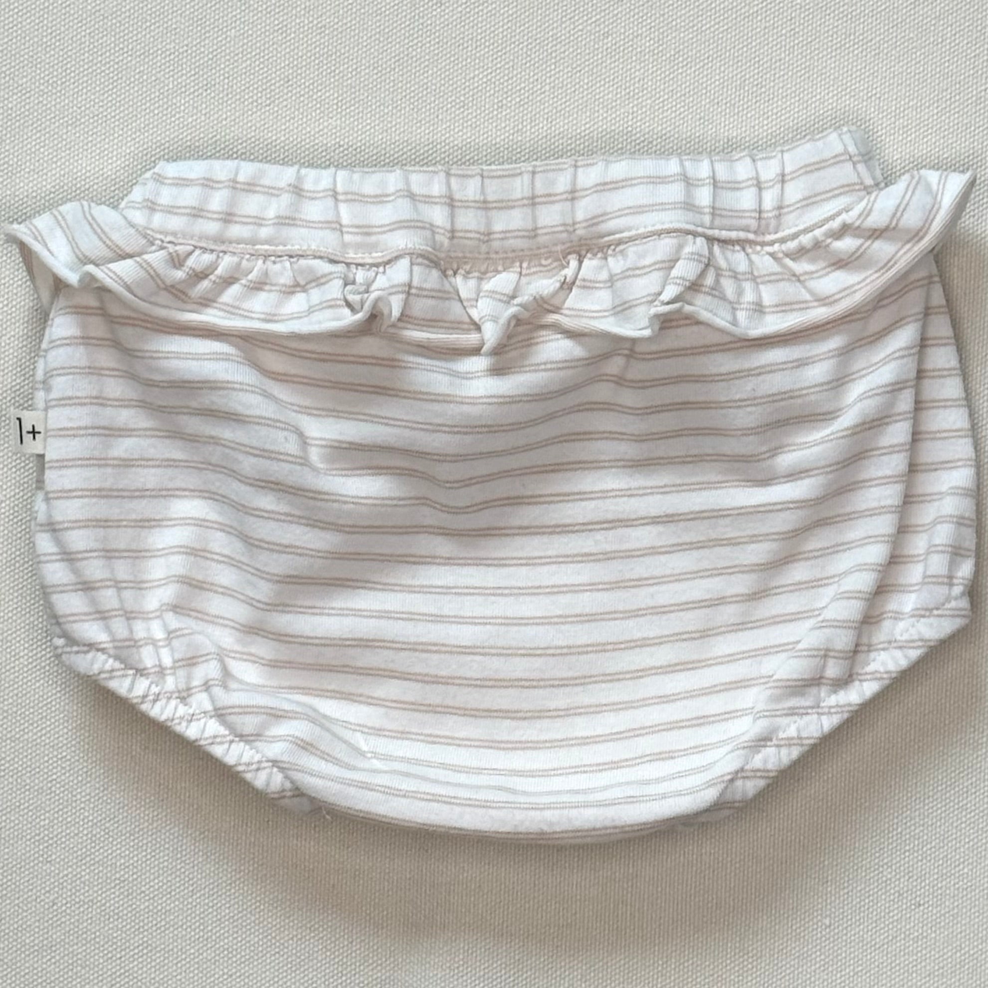 Bloomer 1+ in the family 3 mois