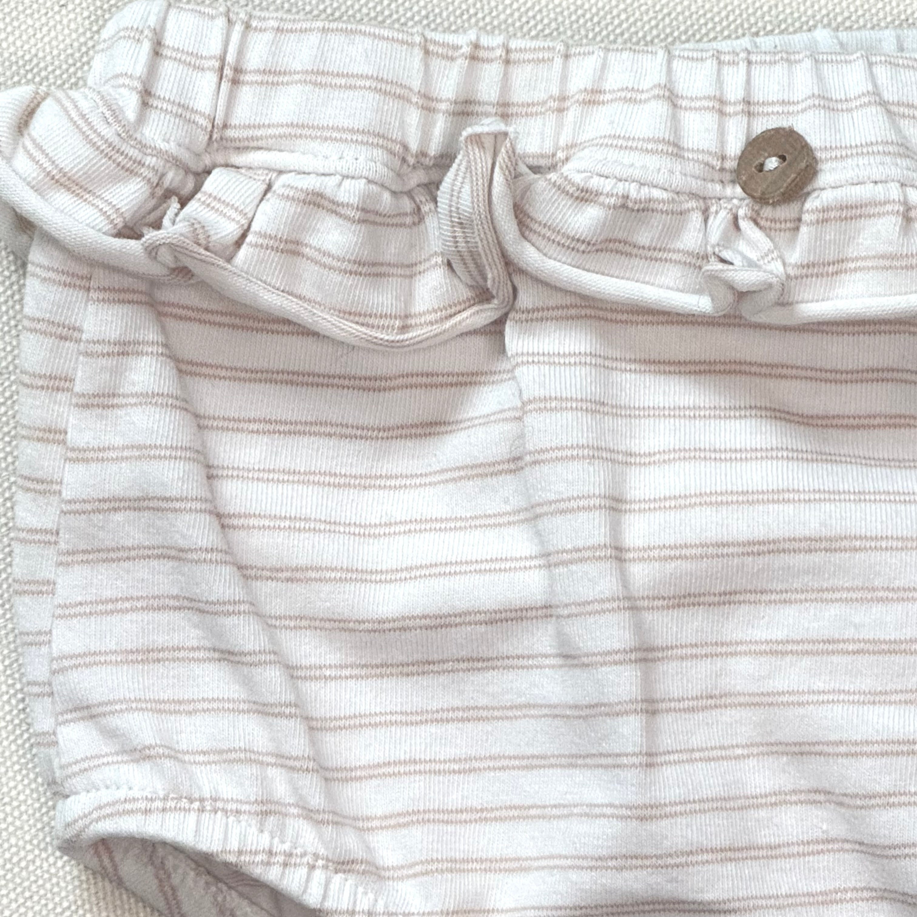 Bloomer 1+ in the family 3 mois