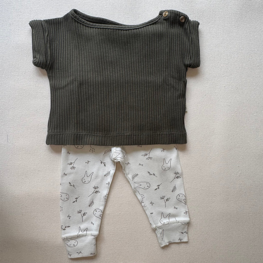 T-shirt Poudre Organic 6 mois